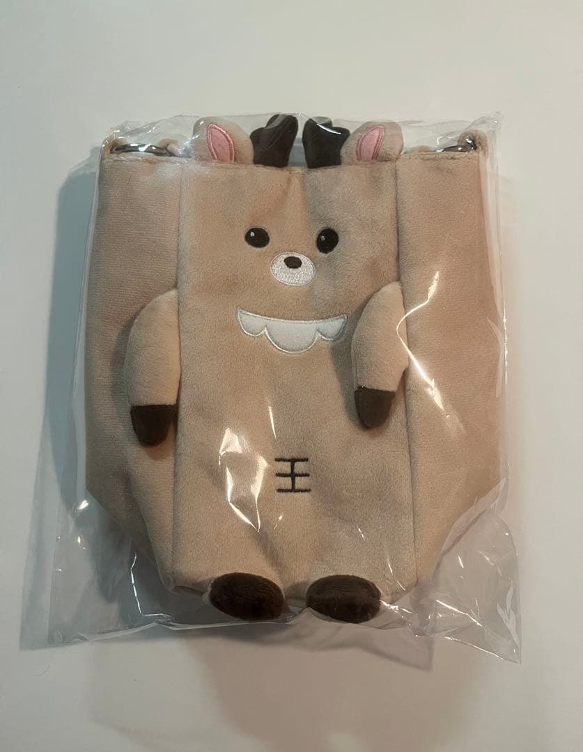 RIIZE RIIZING LOUD 東京ドーム ペンライトバッグ ソンチャン - メルカリ