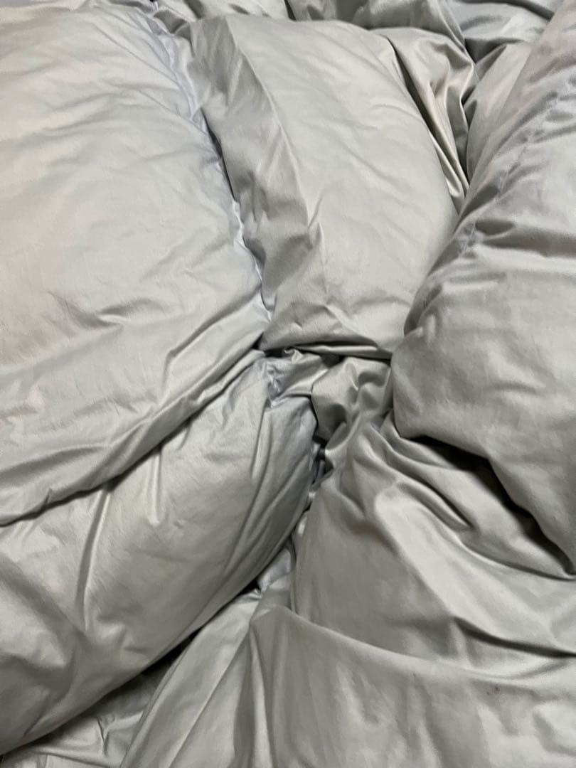 西川 羽毛掛け布団 花柄 水色 ダウン90% 1.9キロ