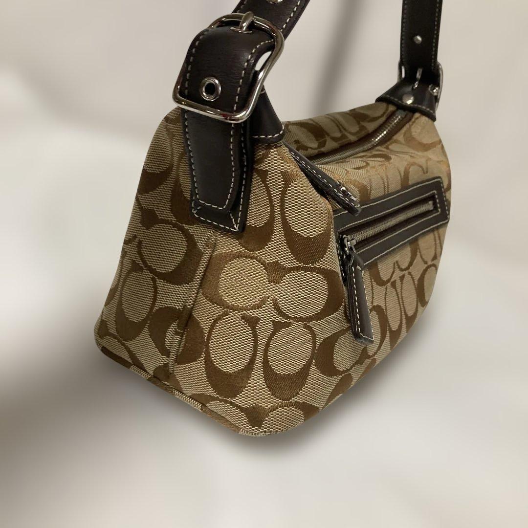 COACH アクセサリーポーチ☆極美品ハンドバッグ シグネチャー 6044