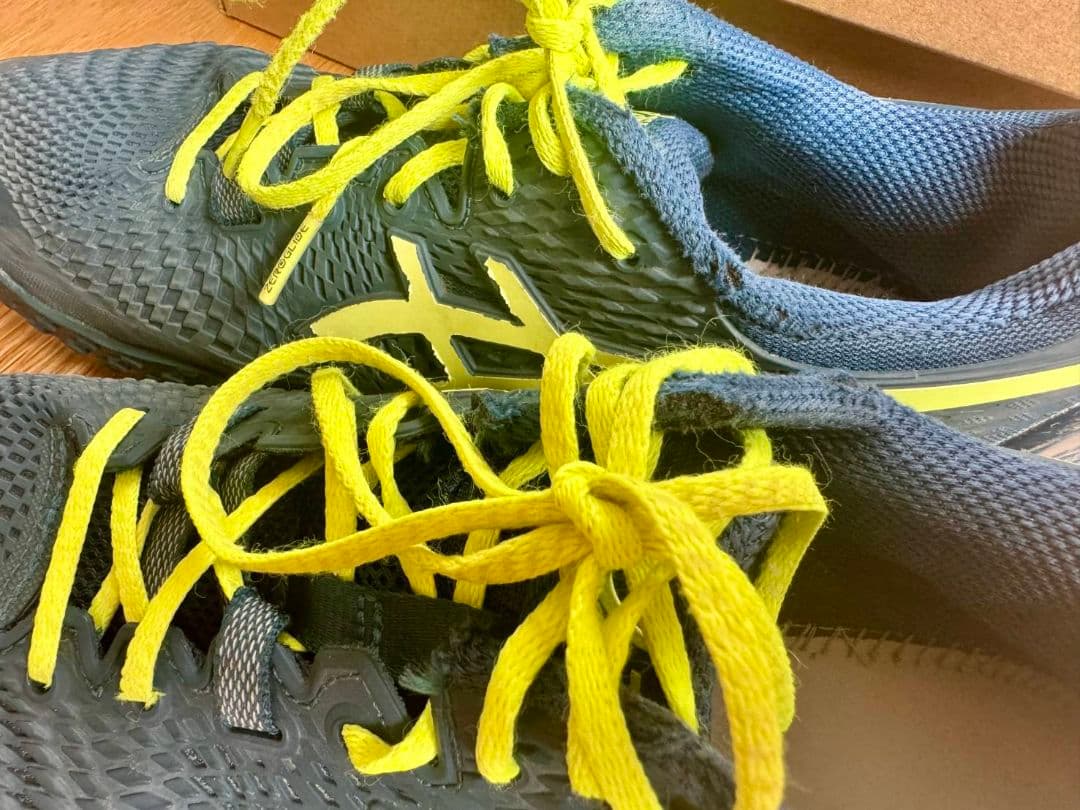 アシックス ゲルレゾリューション 9 オムニクレー　27.5cm