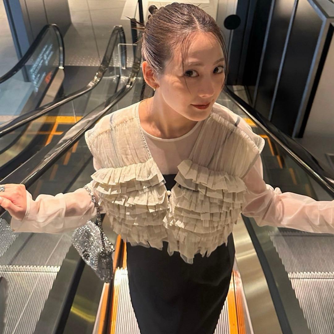 ANDRESDパーティードレス Sサイズ ベージュ・ブラック ベージュブラックのグロッシーラッフル付きドレス | ANDRESD | M