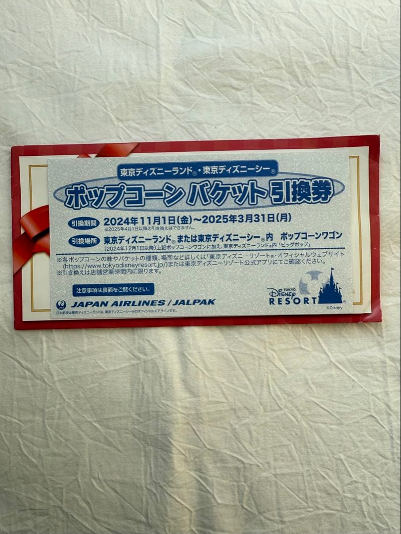 ディズニー ポップコーン バケット 引換券 ポップコーンバケツ ビッグ
