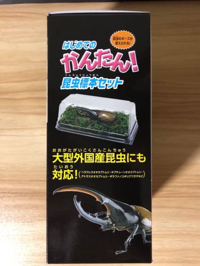 昆虫標本セット ※標本液なし - メルカリ
