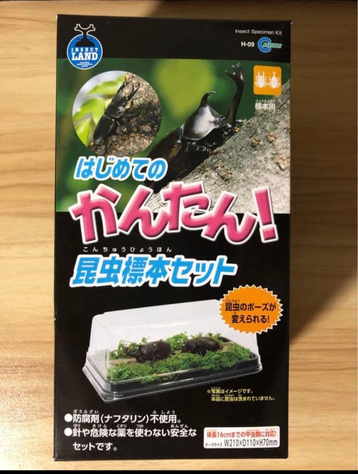 昆虫標本セット ※標本液なし - メルカリ