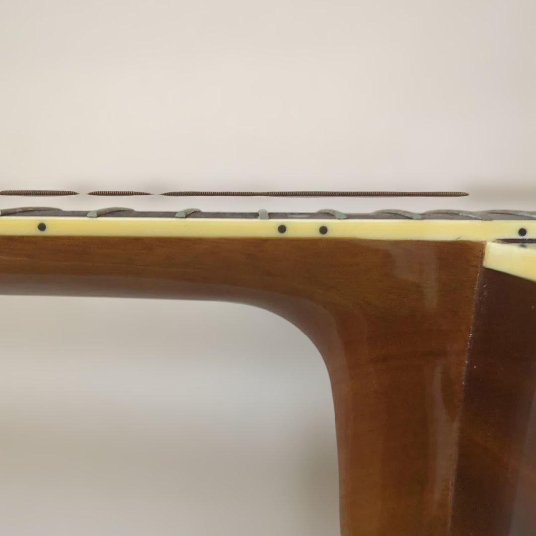 絶版・美品LumberランバーLD30VSアコースティックギター純正ケース＆弦