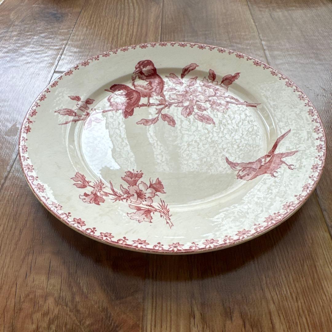 期間限定お値下げ サルグミンヌFavoriシリーズ平皿