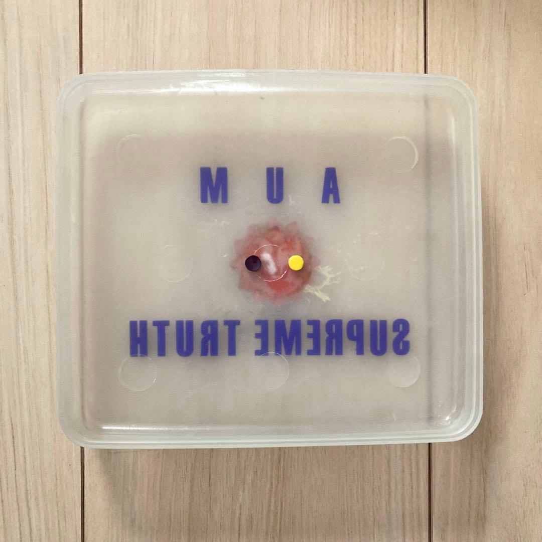 オウム真理教 当時物 プルシャ付タッパー - メルカリ