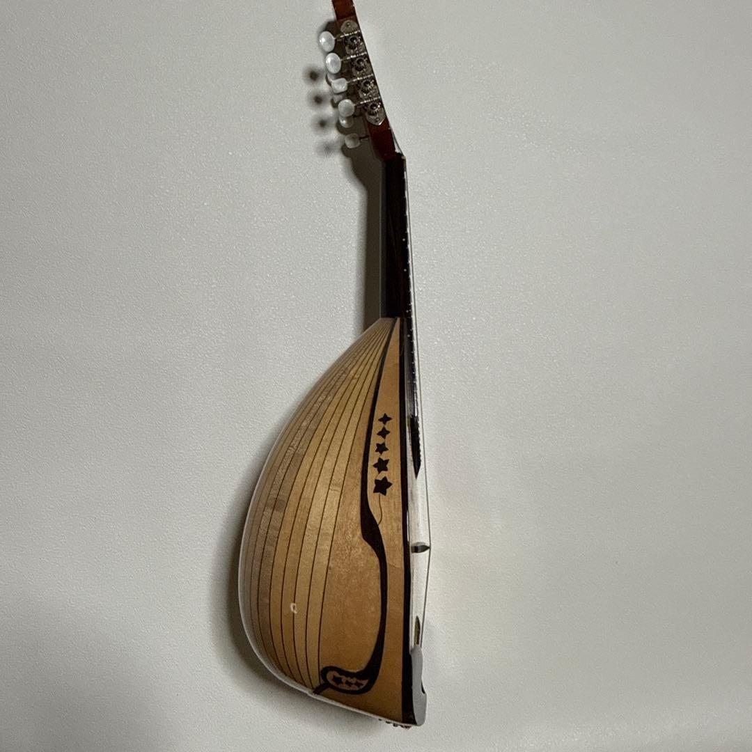 石川捷二郎監修 Venezia マンドリン M-50 ハードケース付 - メルカリ