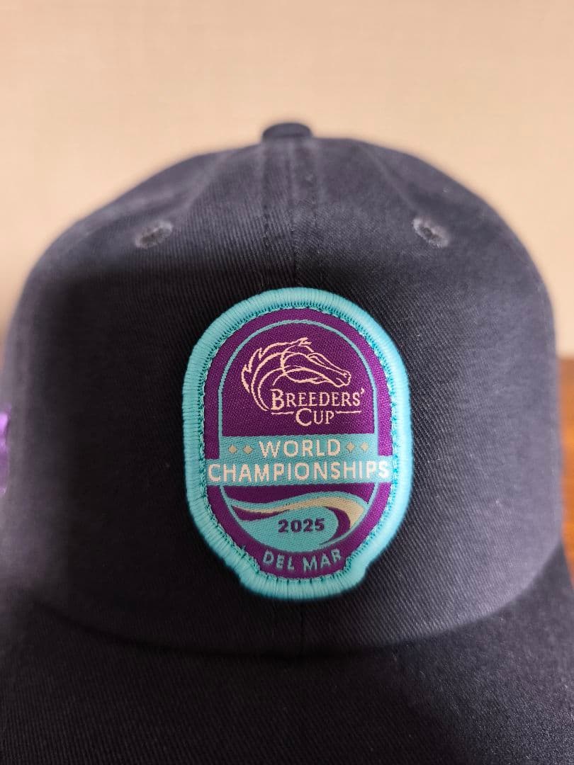 ブリーダーズカップ 2025 フォーエバーヤング キャップ 競馬 アメリカ