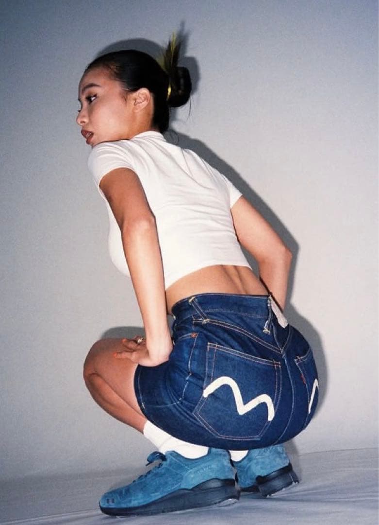 evis デニムスカート　カモメペイント ピクセルカモメ刺繍とプリントレギュラーフィットデニムスカート – EVISU