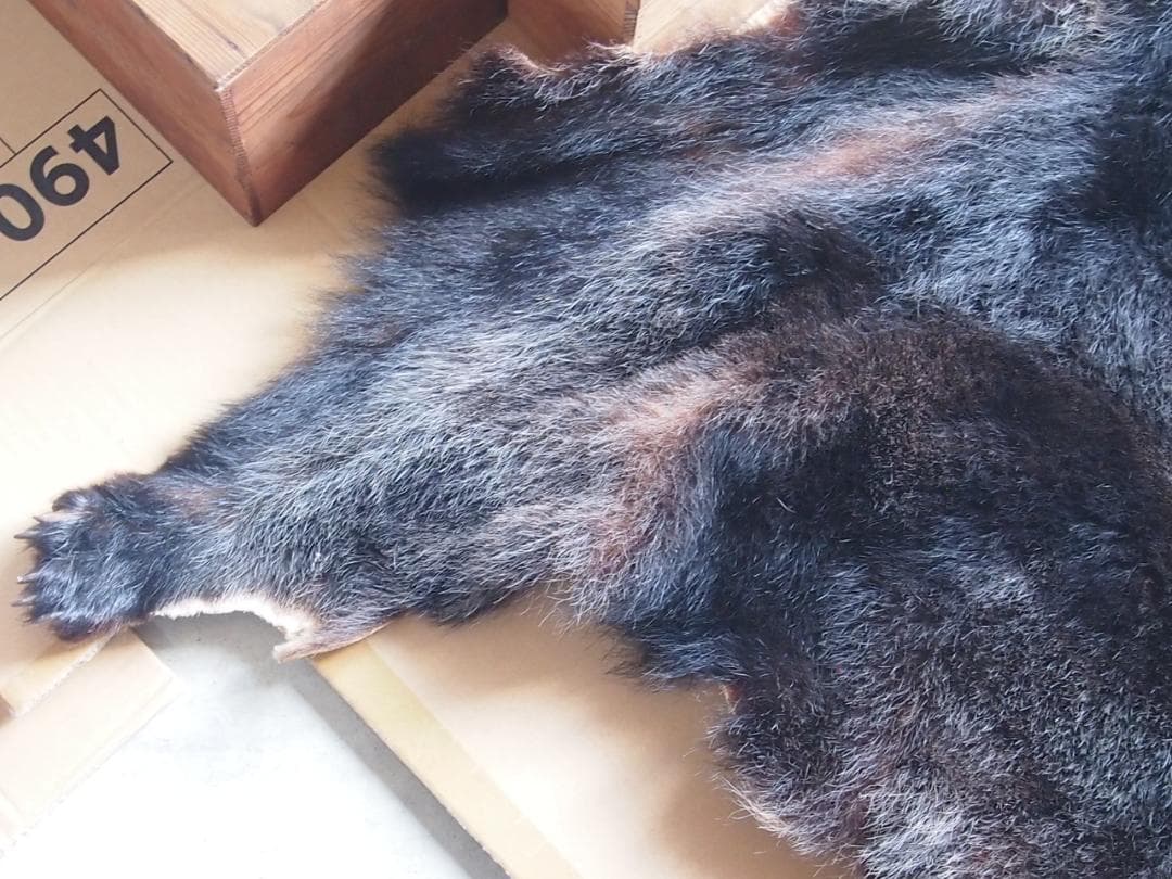 損傷あり】ツキノワグマ 毛皮 クマ/熊 ラグマット/玄関マット