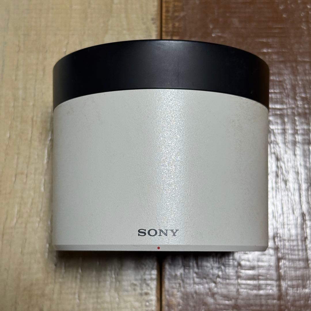 【SIMピン】Sony FE 200-600mm F5.6-6.3 G