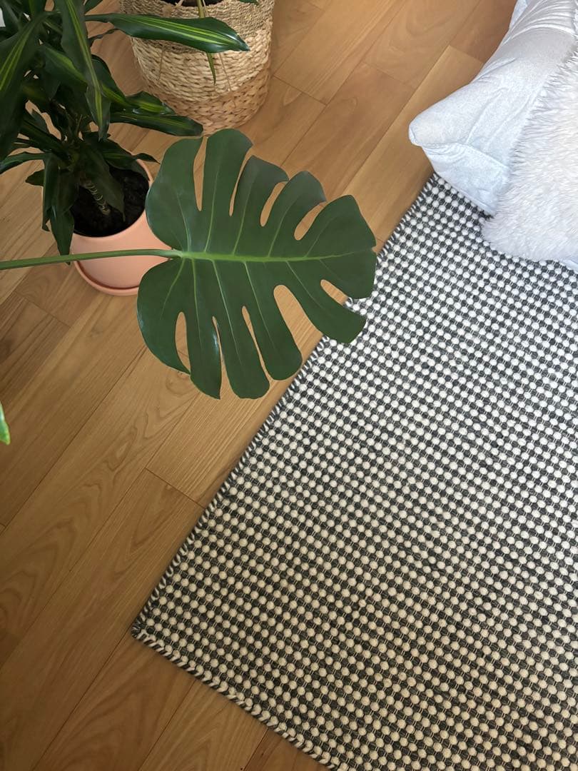 アクタス 新品同様 美品 BOROBORO ラグ チャコール グレー - メルカリ