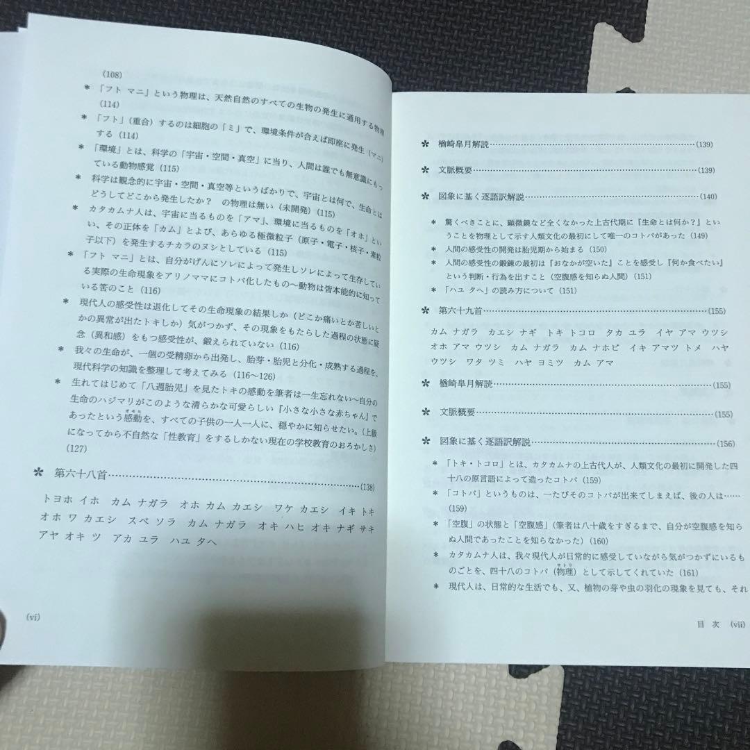 相似象学会誌　相似象　第１６号