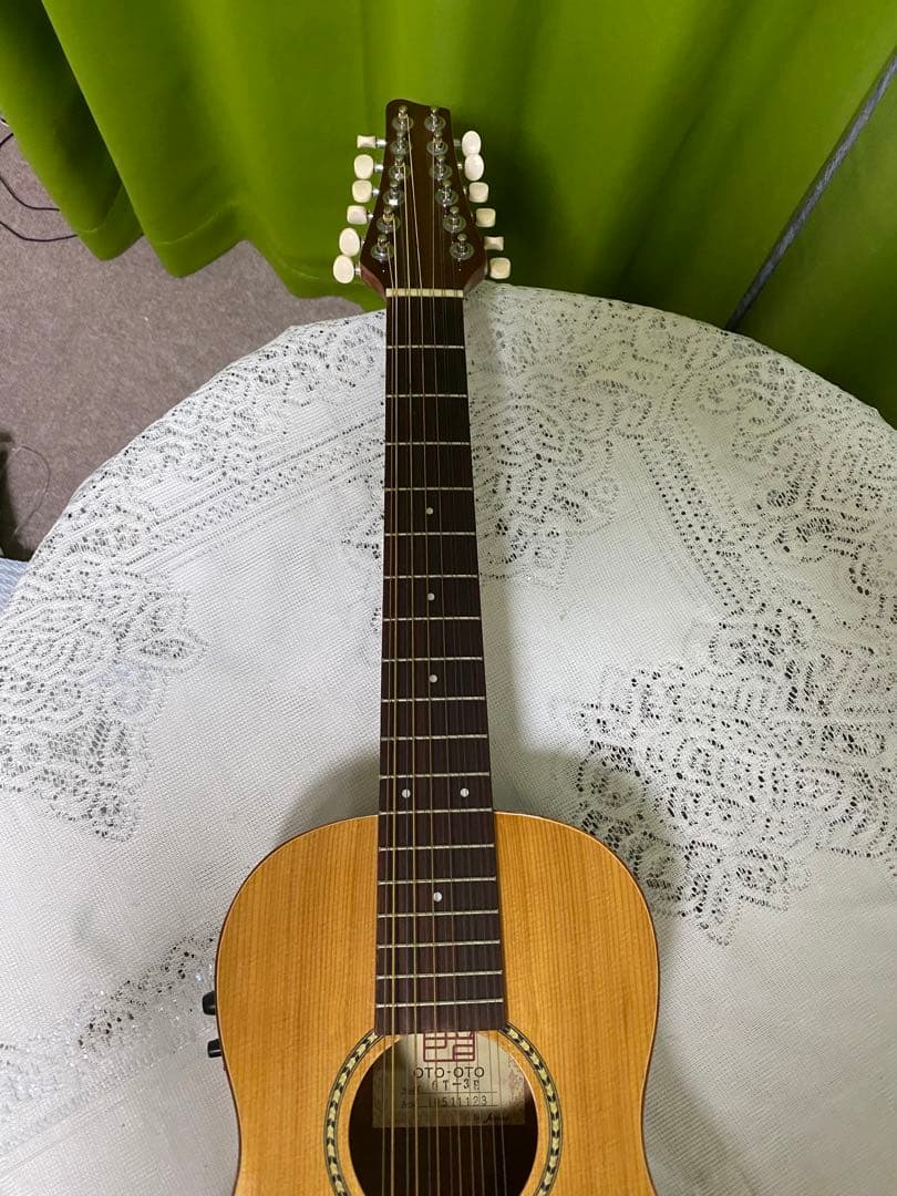 Chang Shin様専用 12弦エレアコOTO-OTO OT3E 音抜け良好 - メルカリ