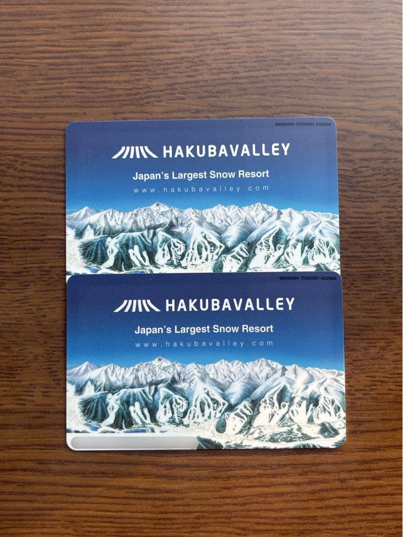 白馬岩岳マウンテンリゾート リフト券 大人2枚 - メルカリ