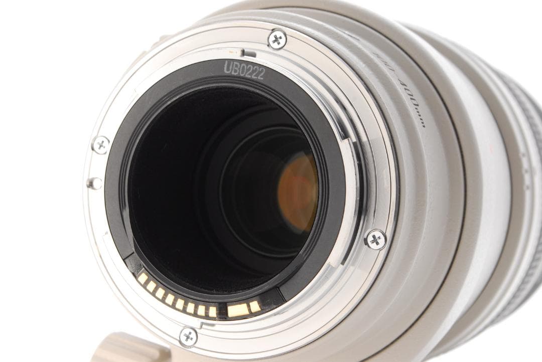 Canon EF 100-400mm f4.5-5.6 L IS USM レンズ