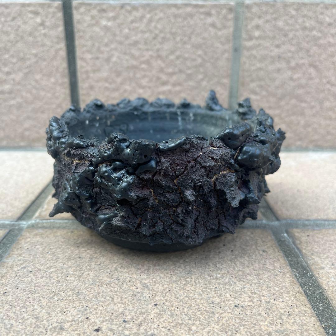 ゴジラ鉢 goat 塊根植物 アガベ グラキリス - メルカリ