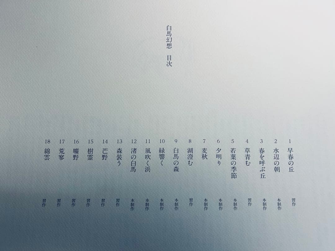 東山魁夷 白馬幻想 限定版 日本経済新聞社