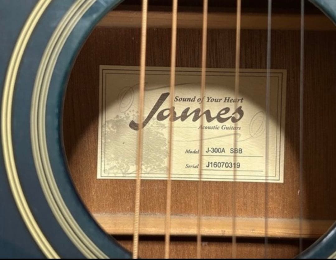 James アコースティックギター　青　J -300A