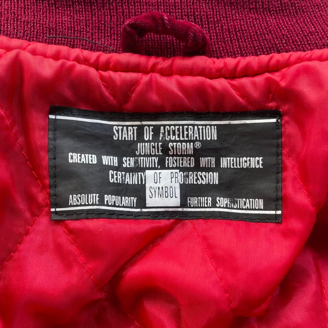 JUNGLE STORM ベロア スカジャン 別珍 龍 鷹 ビンテージ - メルカリ