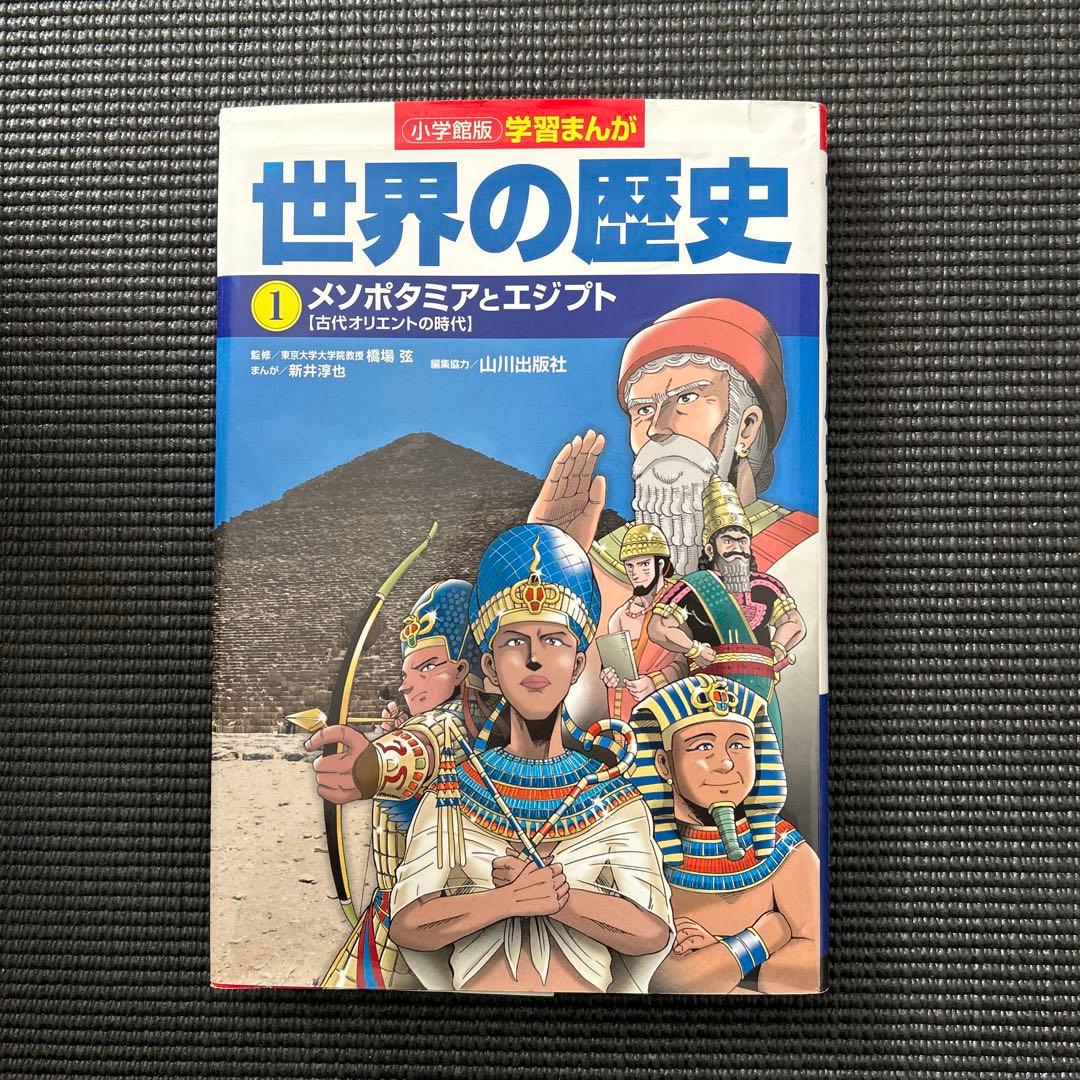 世界の歴史 全17巻セット - メルカリ