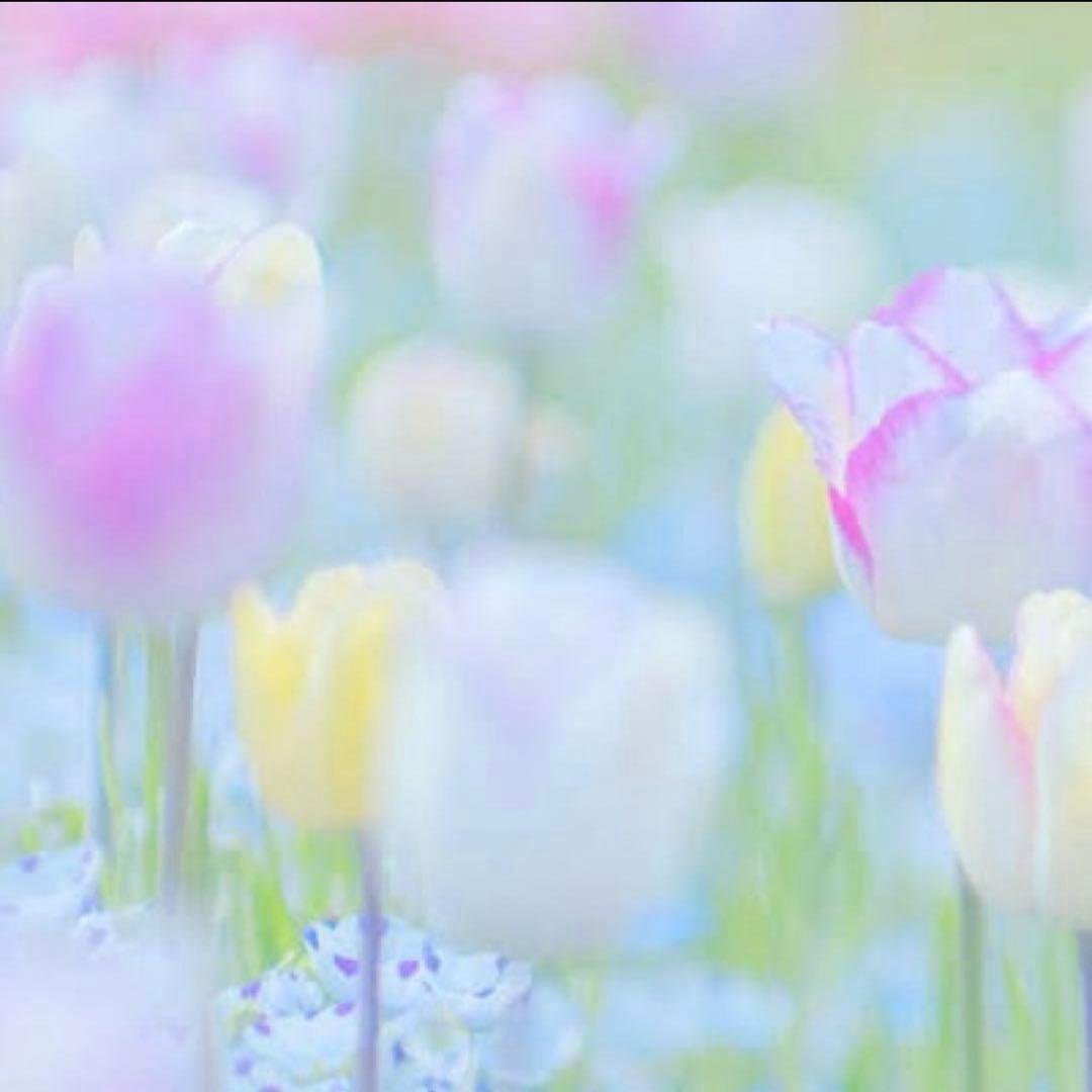 12点 おまとめ 過激なパワーと加速力。艦の称号がここにある／ZX-12R(2002) | 試乗