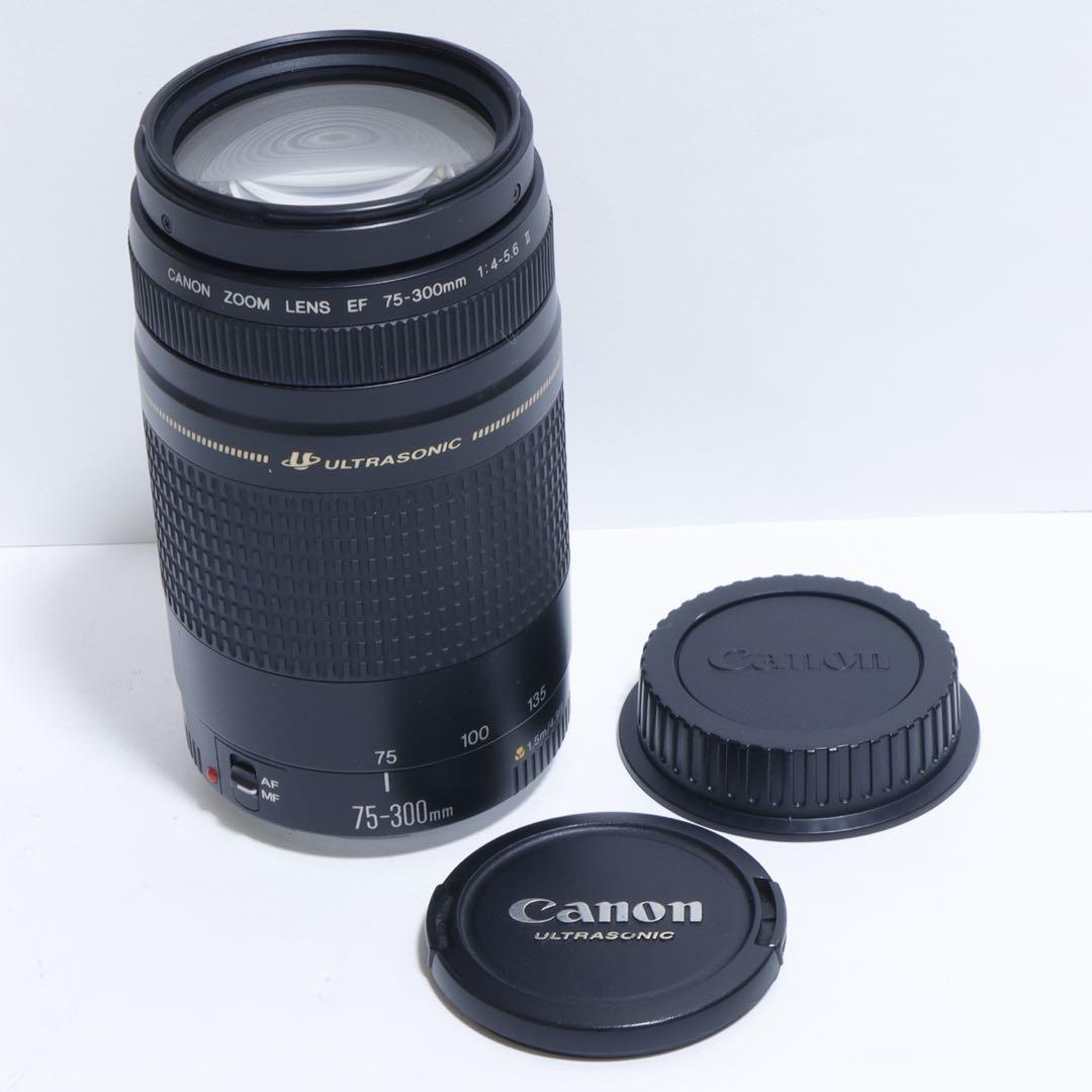 ◇超望遠&高速AF◇ Canon純正 75-300mm II型 望遠レンズ ◇ - メルカリ