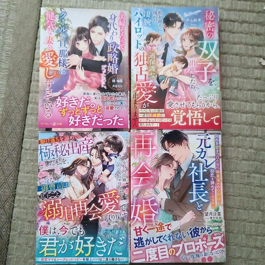獣欲な副社長はツレない秘書を捕まえたい。