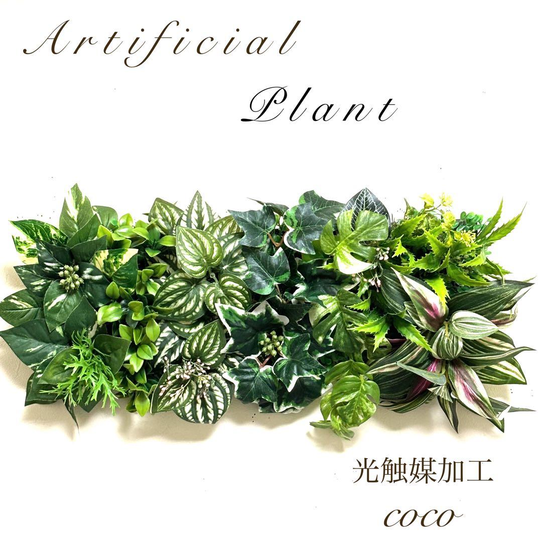 光触媒加工ウォールグリーン フェイクグリーン壁掛け♡(森3) - メルカリ