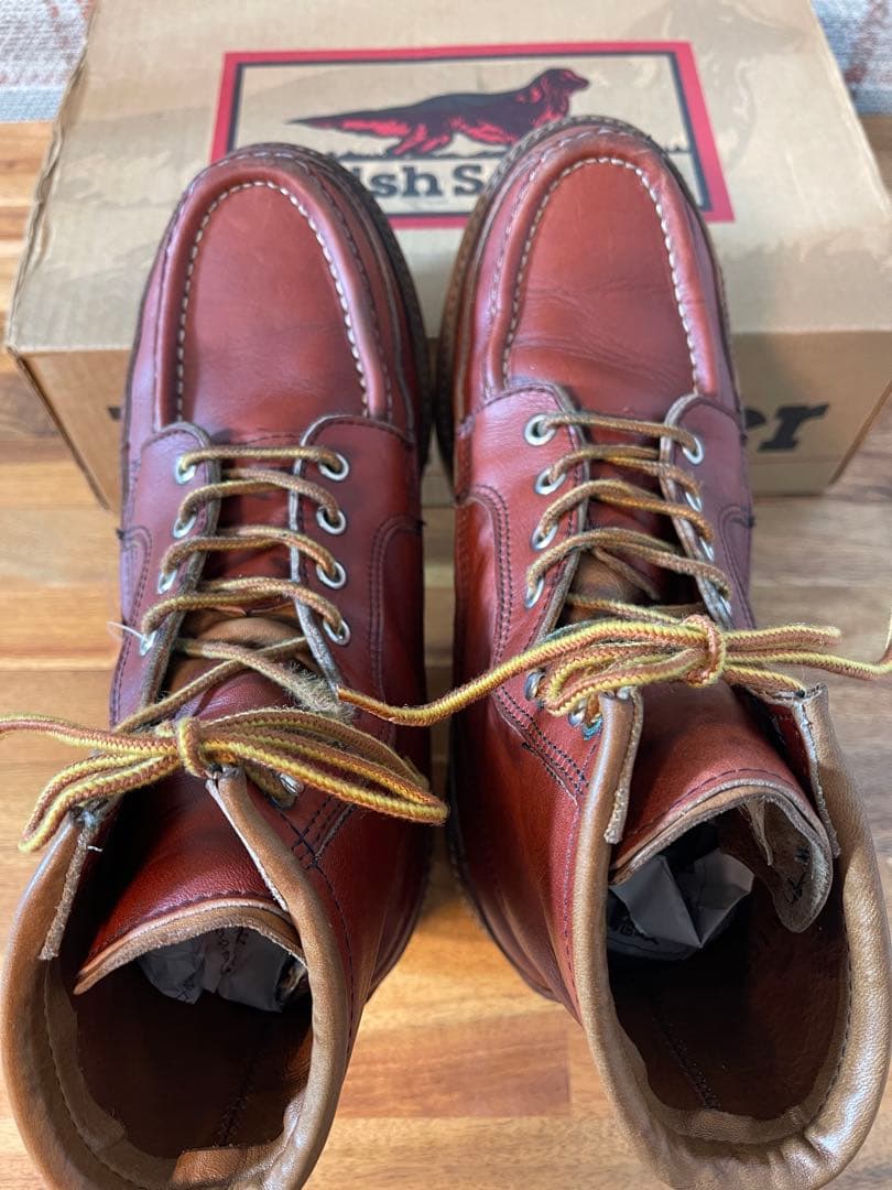 REDWINGレッドウィングアイリッシュセッター50周年1951赤茶8.5E犬
