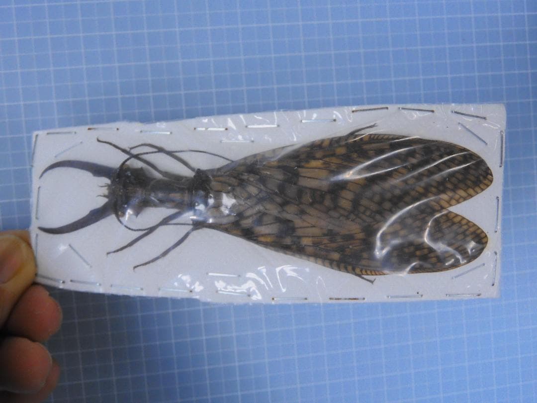 ニボシ様 リクエスト 6点 まとめ商品 NOKKI様 リクエスト 3点 まとめ商品 - メルカリ