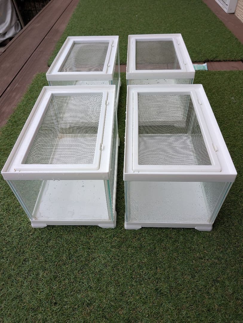 レプテリア300LOW廃盤商品４つ レプテリアクリアネオフィット180 ジェックス エキゾテラ 販売 通販