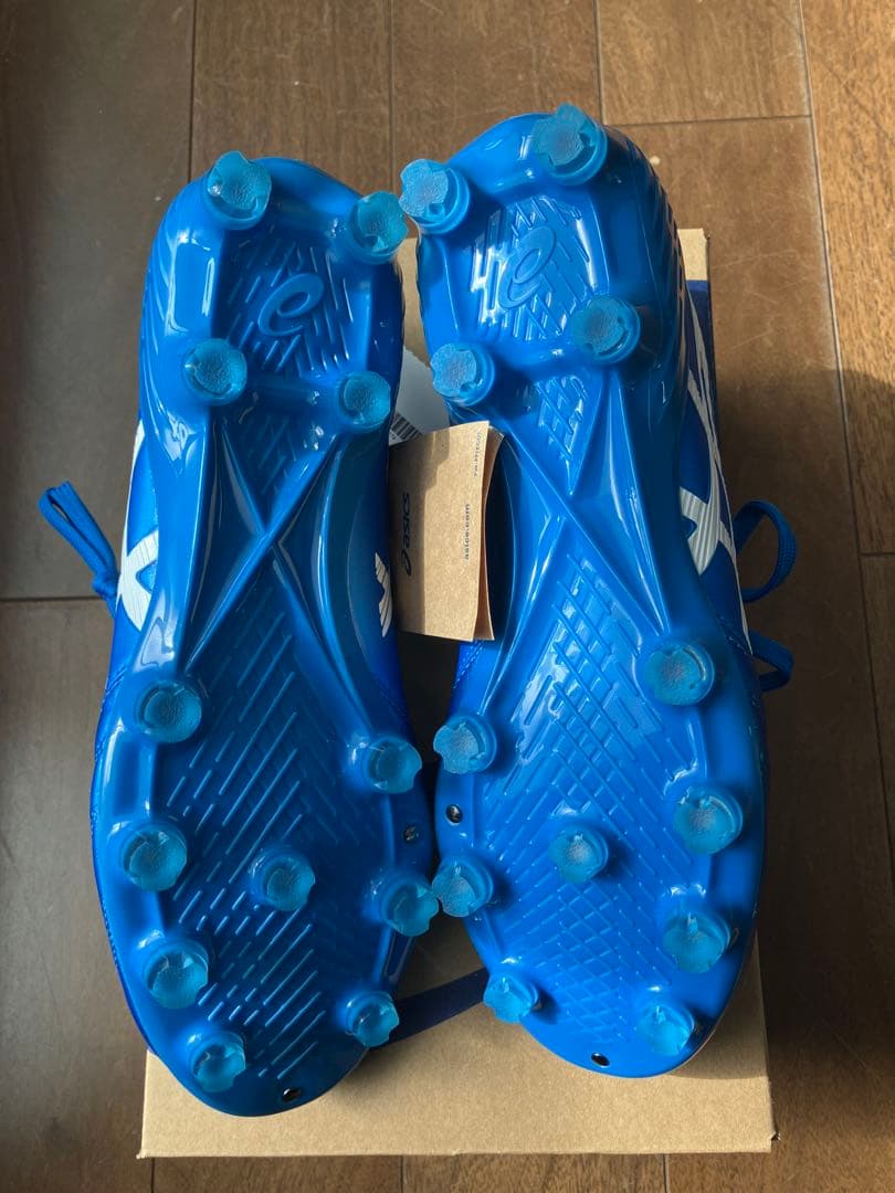 シューズ ASICS DS LIGHT X-FLY 5 25.0cm