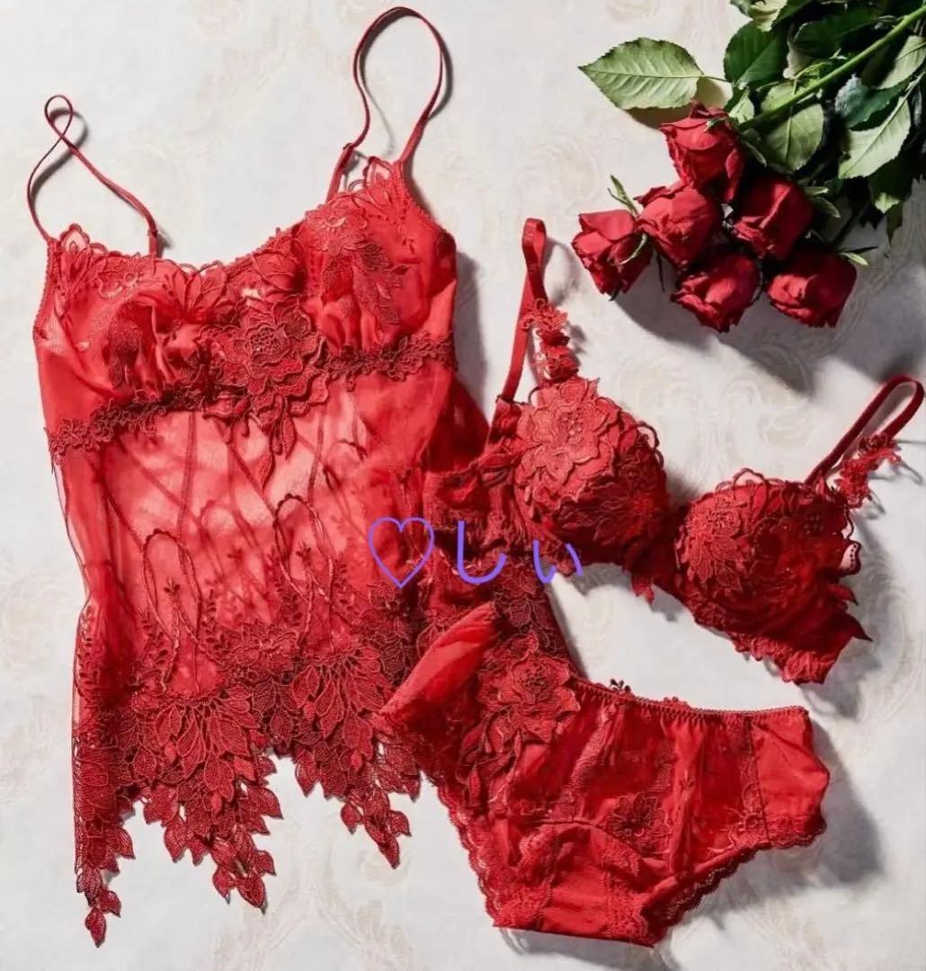 新品タグ付き Salute サルート 34G ブラ F65 RE ゼウス 赤 - メルカリ