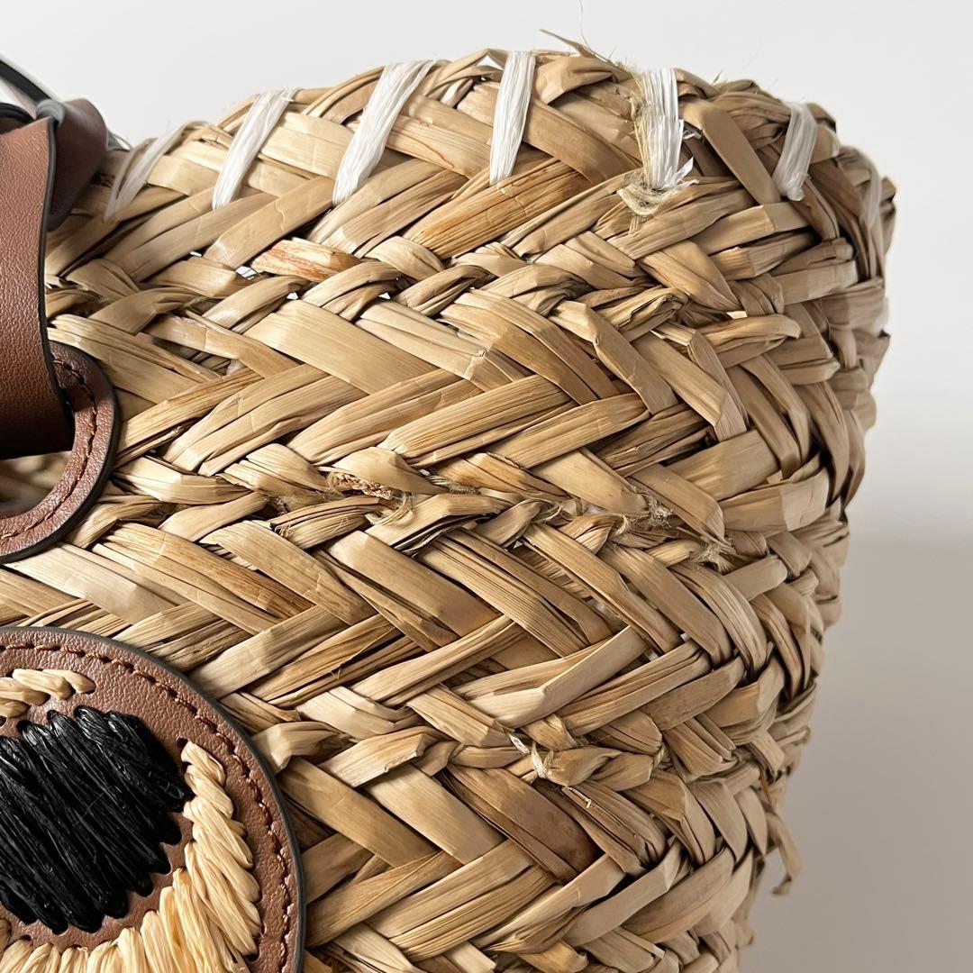 アニヤハインドマーチ スモールバスケット ペーパーアイズ 天然草木