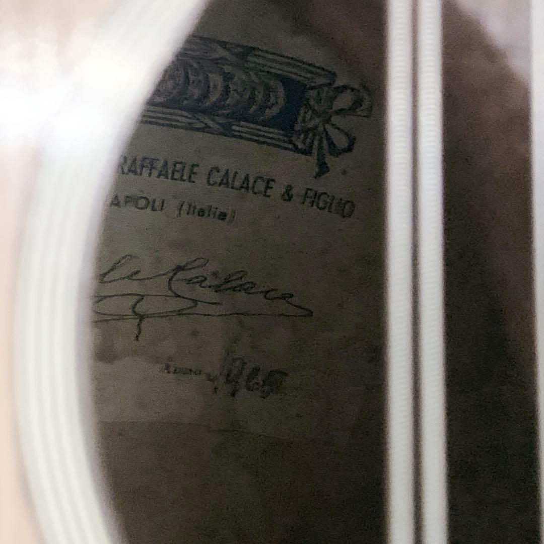 カラーチェ マンドリン 1965 ハードケース付raffaele calace - メルカリ