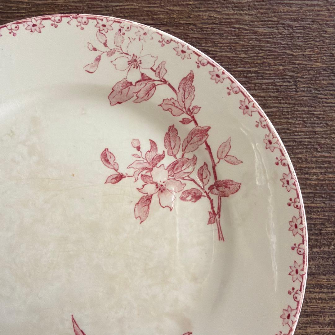 期間限定お値下げサルグミンヌFavoriシリーズ平皿 - メルカリ