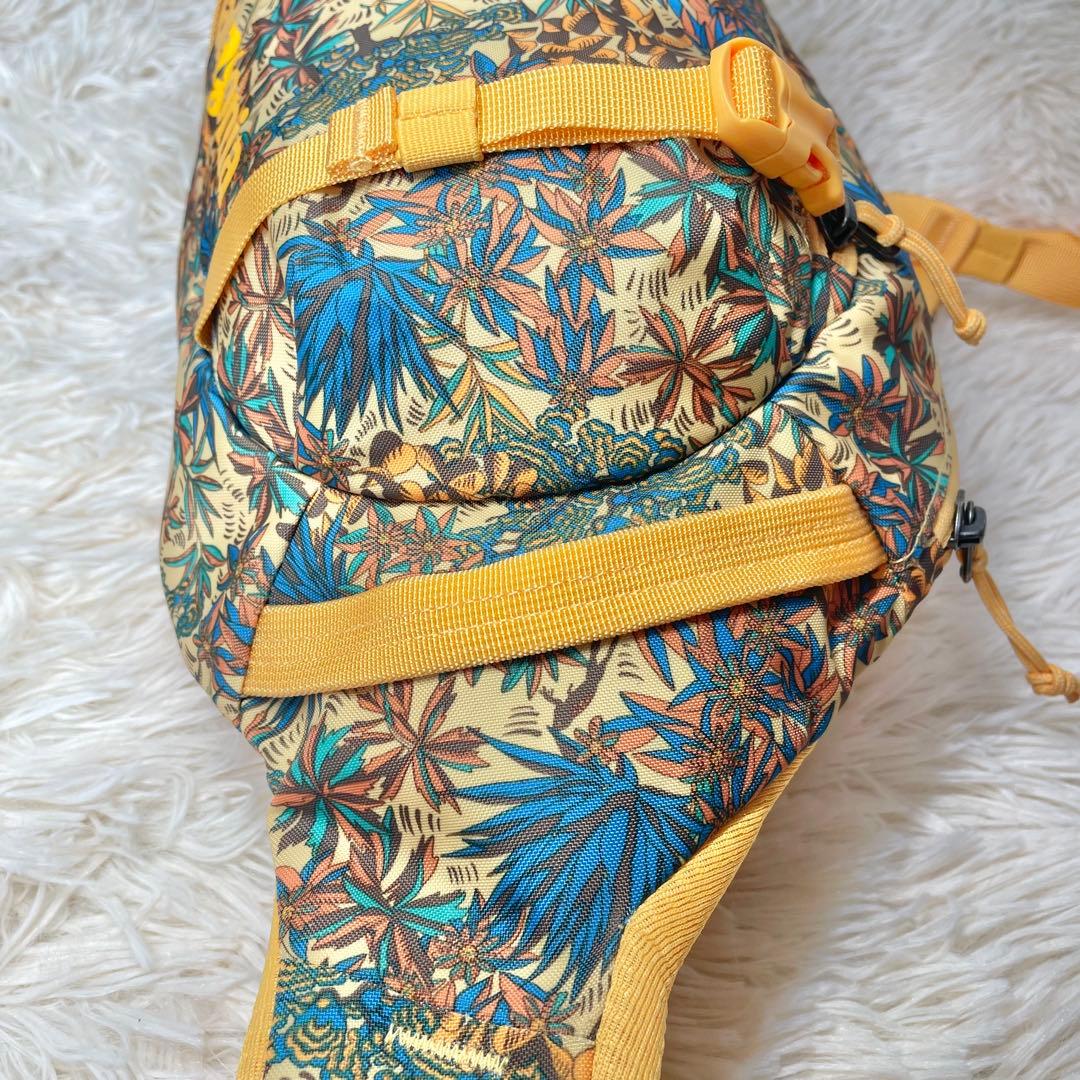 廃盤カラー】パタゴニア ボディバッグ ショルダーバッグ アトム