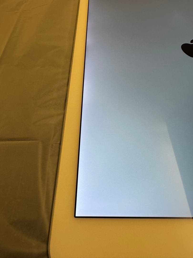 iPadPro 12.9inch 第2世代 256GB セルラーモデル