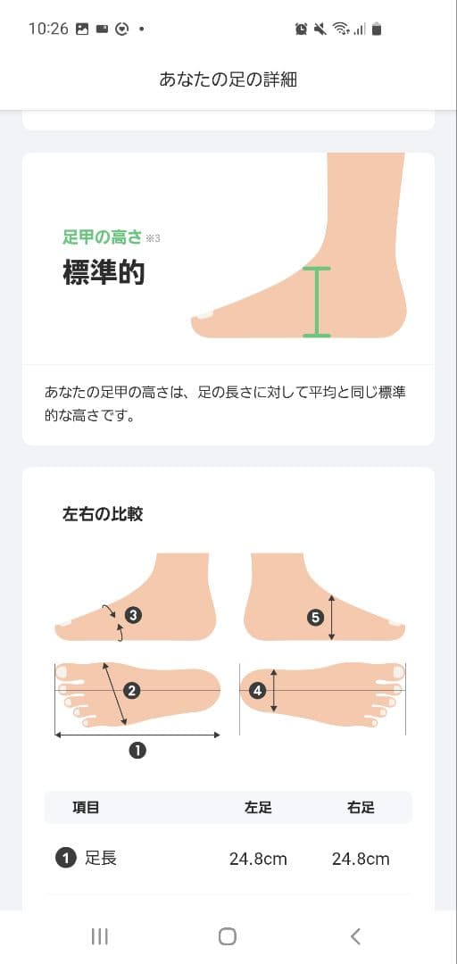 Berwick 4477BCVI ブラック　Uチップ　25.5cm