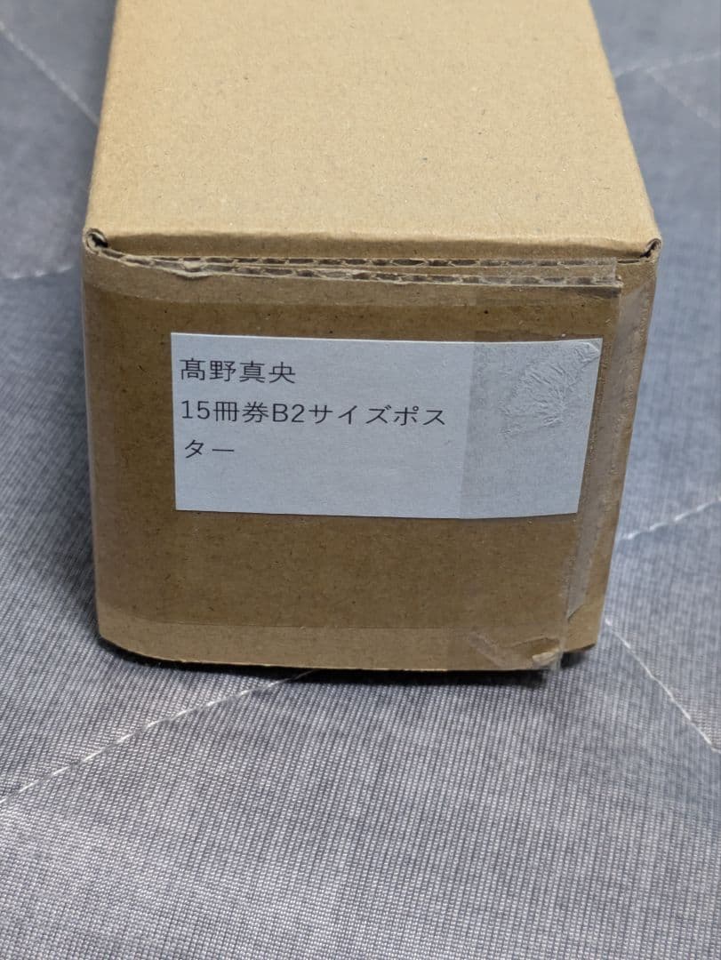 【未開封】週刊プレイボーイ 髙野真央 オンラインサイン会 特典 B2ポスター