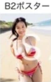 【未開封】週刊プレイボーイ 髙野真央 オンラインサイン会 特典 B2ポスター