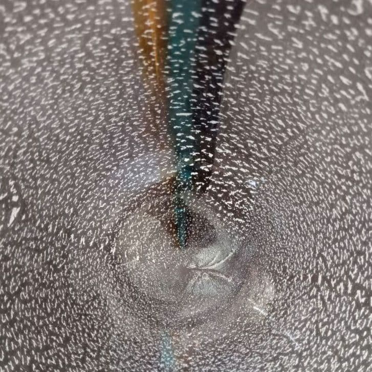 最終価格 ムラーノ ザネッティ MURANO Zanetti 花瓶/置物 - メルカリ