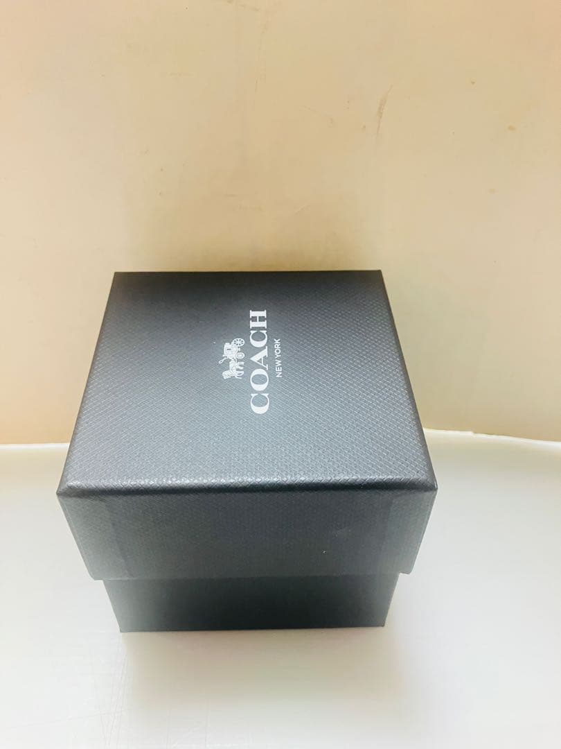 【新品未使用】COACH コーチ 腕時計 Perry Starry Dial