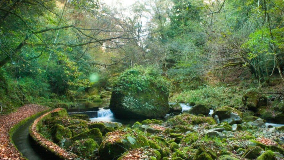 omochishop プロフ必読様 CANON EOS 30D 広角から望遠まで - メルカリ