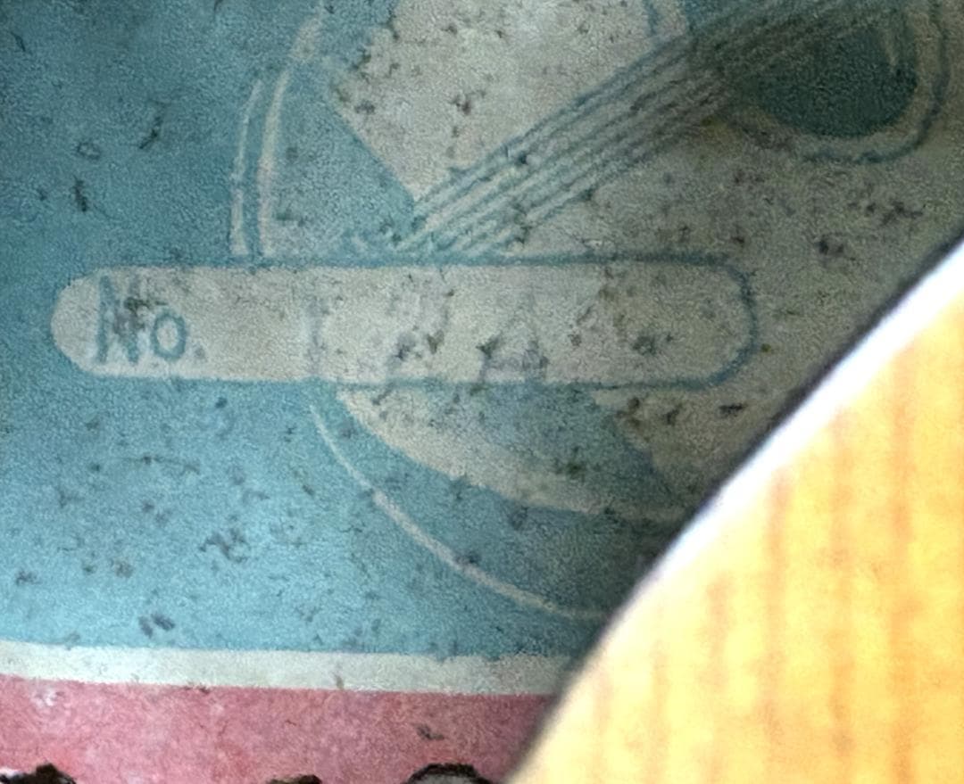 稀少 QUEEN クィーン フラット マンドリン No.124 【整備品】