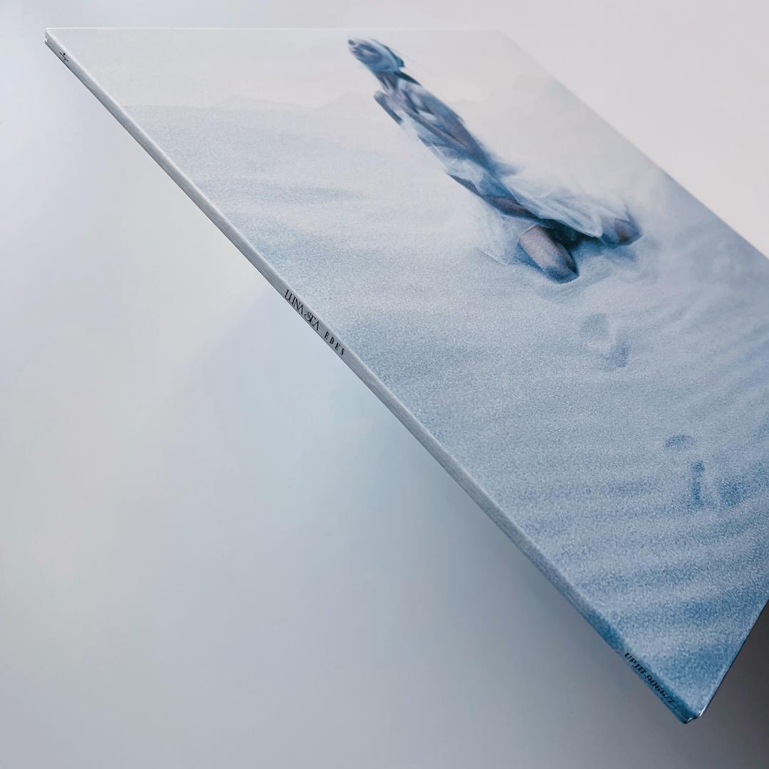 美品 レコード 2枚組 LUNA SEA EDEN エデン ルナシー 河村隆一 - メルカリ