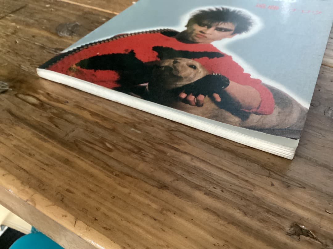 ☆楽譜/遠藤ミチロウ/ベトナム伝説/タブ譜/バンドスコア L1081031657