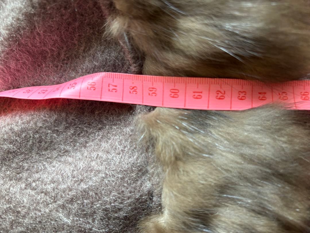 Faviora MOONBAT カシミヤ ケープ リアルファー ファビオラ - メルカリ